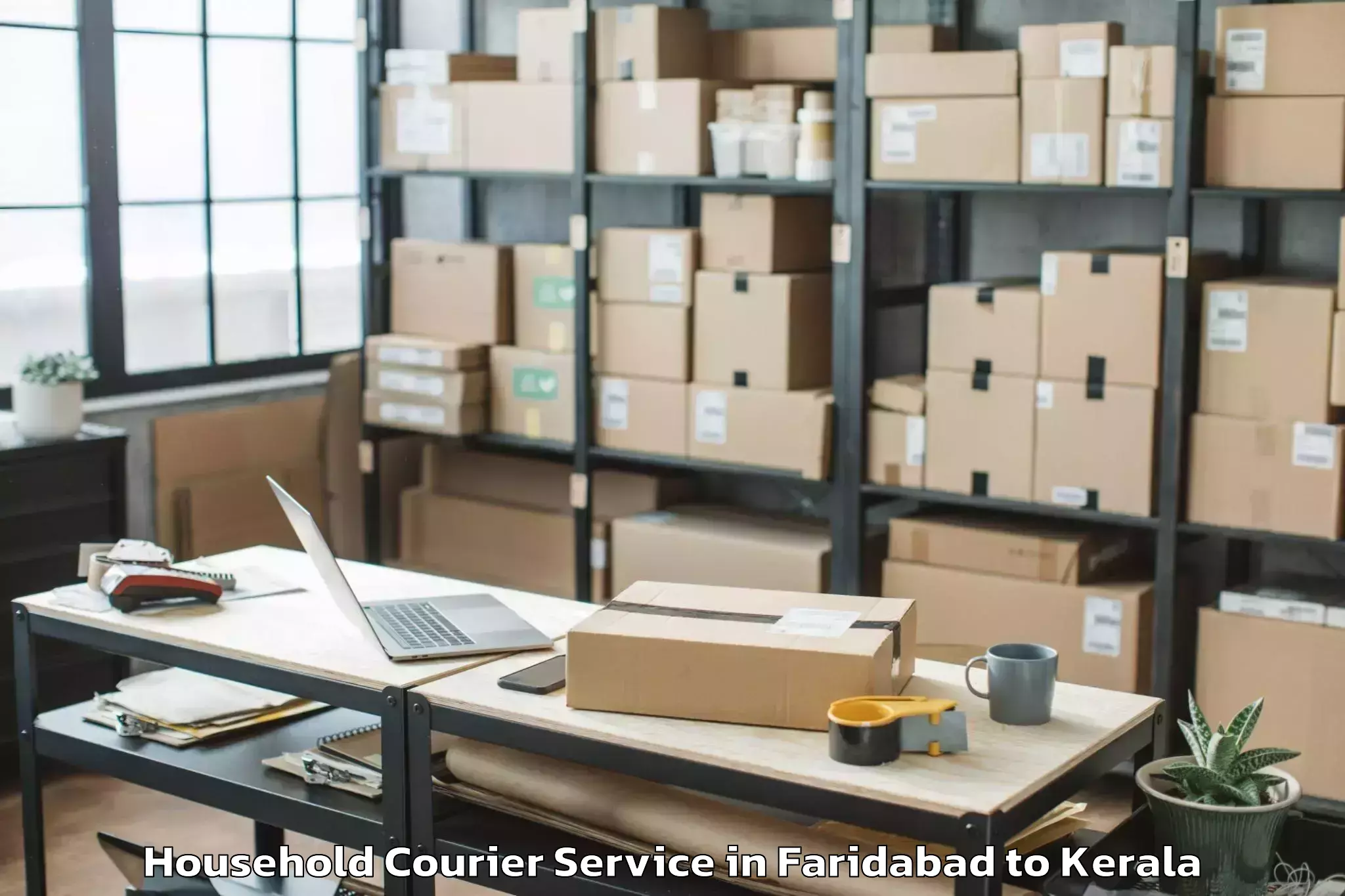 Professional Faridabad to Ayoor Household Courier